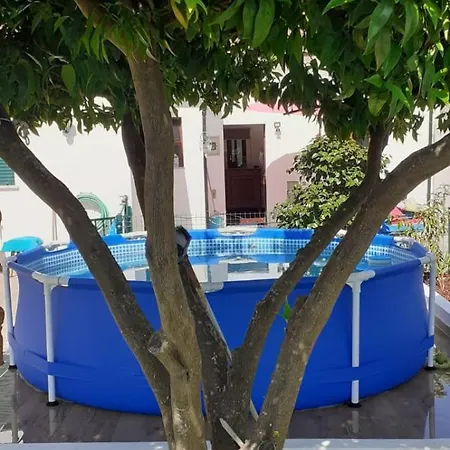 Cantinho Dos Moinhos Guest house Montemor-o-Velho