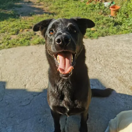 Cantinho Dos Moinhos